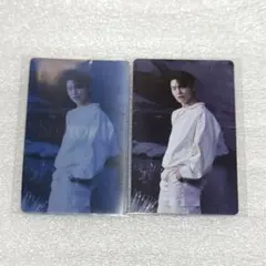 ディノ　seventeen sector17  トレカ セット