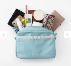 【1回のみの使用★美品★】tocca★バッグインポーチ