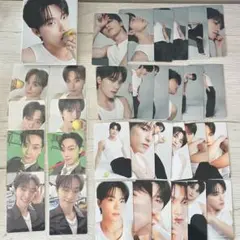 ディノ カラットver.