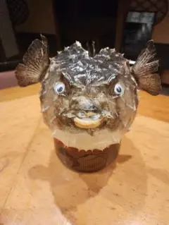 フグ提灯 ふぐ置物 剥製 イシガキフグ - メルカリ