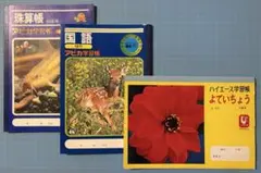 ぼくのなつやすみ ジャポニカ学習帳 えにっき 非売品 - メルカリ