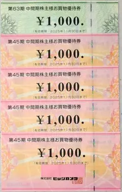 【匿名配送】ビックカメラ コジマ 株主優待券 5000円分