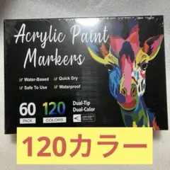 120色 アクリルペイントマーカー 水性 カラーペン セット✨ - メルカリ