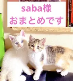 saba様 リクエスト 2点 まとめ商品