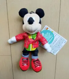 お顔厳選 ミッキー ぬいぐるみバッジ ディズニー パルパルーザ ヴァネロペ