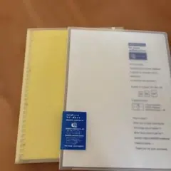 リングファイル