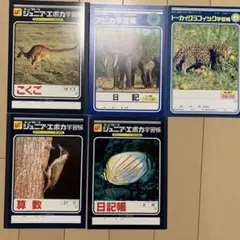 Item thumbnail for item d2e2155b-3e48-4dd2-a0c7-31f7f52fe077