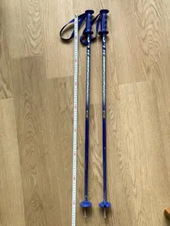 スキーストック