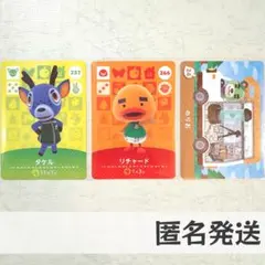 amiiboカード【リチャード　のりお　タケル】あつまれ どうぶつの森　あつ森