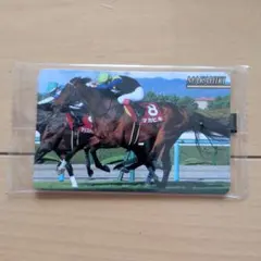 まねき馬 レギュラーカード J-239 マカヒキ 未開封