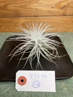 karu様 リクエスト 2点 まとめ商品