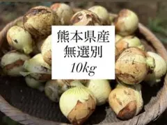 農家歴43年が作る新鮮野菜新玉ねぎ無選別10Kg常温発送のサムネイル