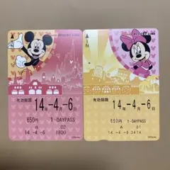 ディズニーフリーきっぷ　ミッキー＆ミニー