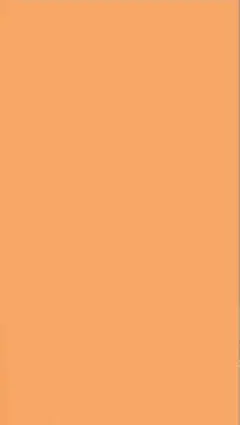 せん様 専用 チェキ