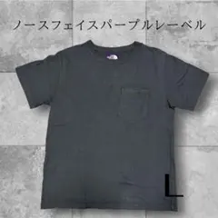THE NORTH FACE PURPLE LABEL Tシャツ Lのサムネイル