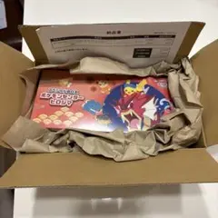 ポケモンカードゲーム　ヒロシマスペシャルBOX