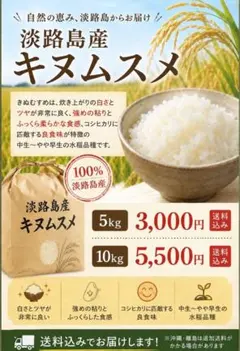 数量限定‼️淡路島産 お米キヌムスメ 10kg ¥6,000 農家直送 精米済 