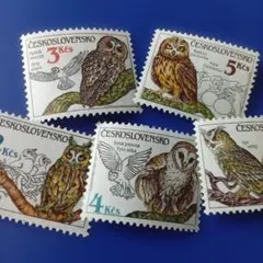 9633 外国切手 チェコスロバキア 1986年 自然保護 フクロウ 5V 凹版