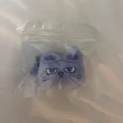 BOYNEXTDOOR テサン プネクド キーリング