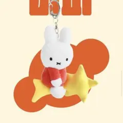 ボリス ポータブルランプ ミッフィー miffy HAY IKEA イサムノグチ