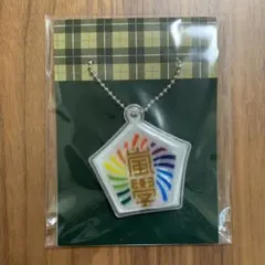 嵐 ワクワク学校 2017 リフレクター