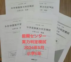 mikitty出品 能開センター2024年度5年生実力判定模試 到達度判定 能開センター 小学5年生 2025年 5月6月 到達度判定テスト・実力判定