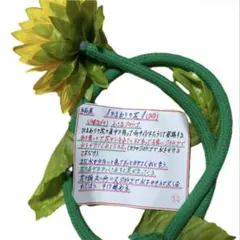 miaw様 リクエスト 2点 まとめ商品