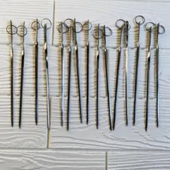 Item thumbnail for item 5fbefa62-b2e1-46b2-a449-dd14a5369256