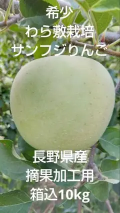 2025年最新】ワッサー 訳ありの人気アイテム - メルカリ