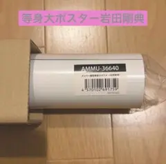 三代目JSB アルバム ONE 特典 等身大ポスター 岩田剛典