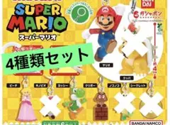 4種類セット　スーパーマリオ めじるしアクセサリー2