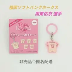 2026年最新】ピンクフルデー 周東の人気アイテム - メルカリ