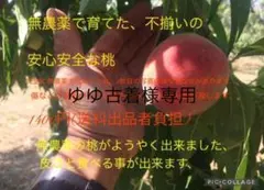 ゆゆ古着さま専用自然に育てた、皮ごと食べる事が出来る安心安全な桃