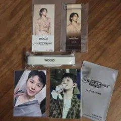 SEVENTEEN RIGHT HERE WORLD TOUR ムビチケ ウジ