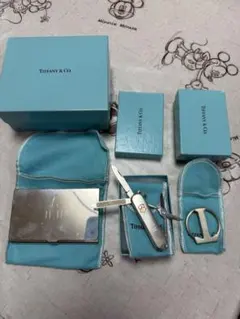 ✨未使用展示品✨　Tiffany &Co. キーケース　キーホルダー　Tロゴ ✨未使用展示品✨ Tiffany &Co. キーケース キーホルダー Tロゴ ✨未使用