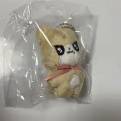 2025年最新】カリナ ぬいぐるみの人気アイテム - メルカリ