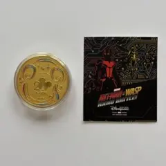香港ディズニーランド 20周年記念 メダル マーベル限定シール