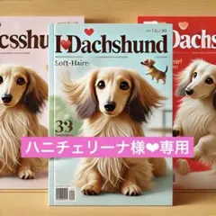 ハニチェリーナ様❤︎専用