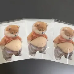 【訳あり】柴犬 お腹 ぷにぷにシール3枚セット