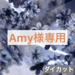 Amy様 リクエスト