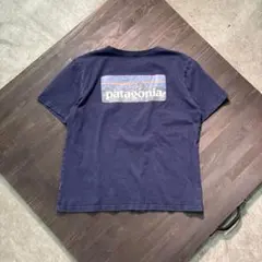 名作 葛飾北斎 アメリカ製 Patagonia パタゴニア Tシャツ - メルカリ