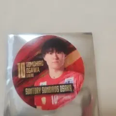 サントリーサンバーズ スポーツ選手