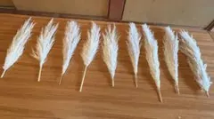 Item thumbnail for item f1fc270c-6f13-4b26-a957-c44220933d7e