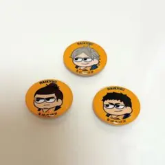 ハイキュー 烏野 缶バッジ