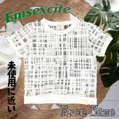 衣替え最終セール❣️Emsexcite シースルートップス ホワイト シアー 半袖