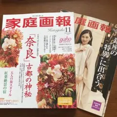 家庭画報 2026年11月号