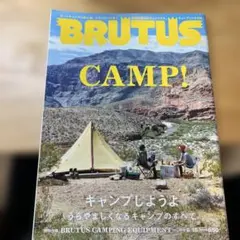BRUTUS CAMP!