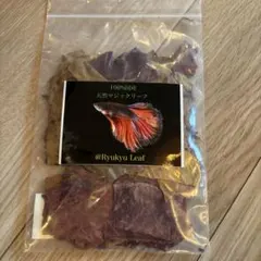 沖縄県やんばる産マジックリーフ 120g 43〜50枚入 UV殺菌灯照射済み⑥