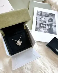 Van Cleef & Arpels プラチナラジウムネックレス