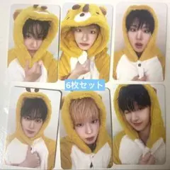 KickFlip mini3 makestar ラキドロ トレカ 6枚セット 2025年最新】kick flip ケイジュの人気アイテム - メルカリ